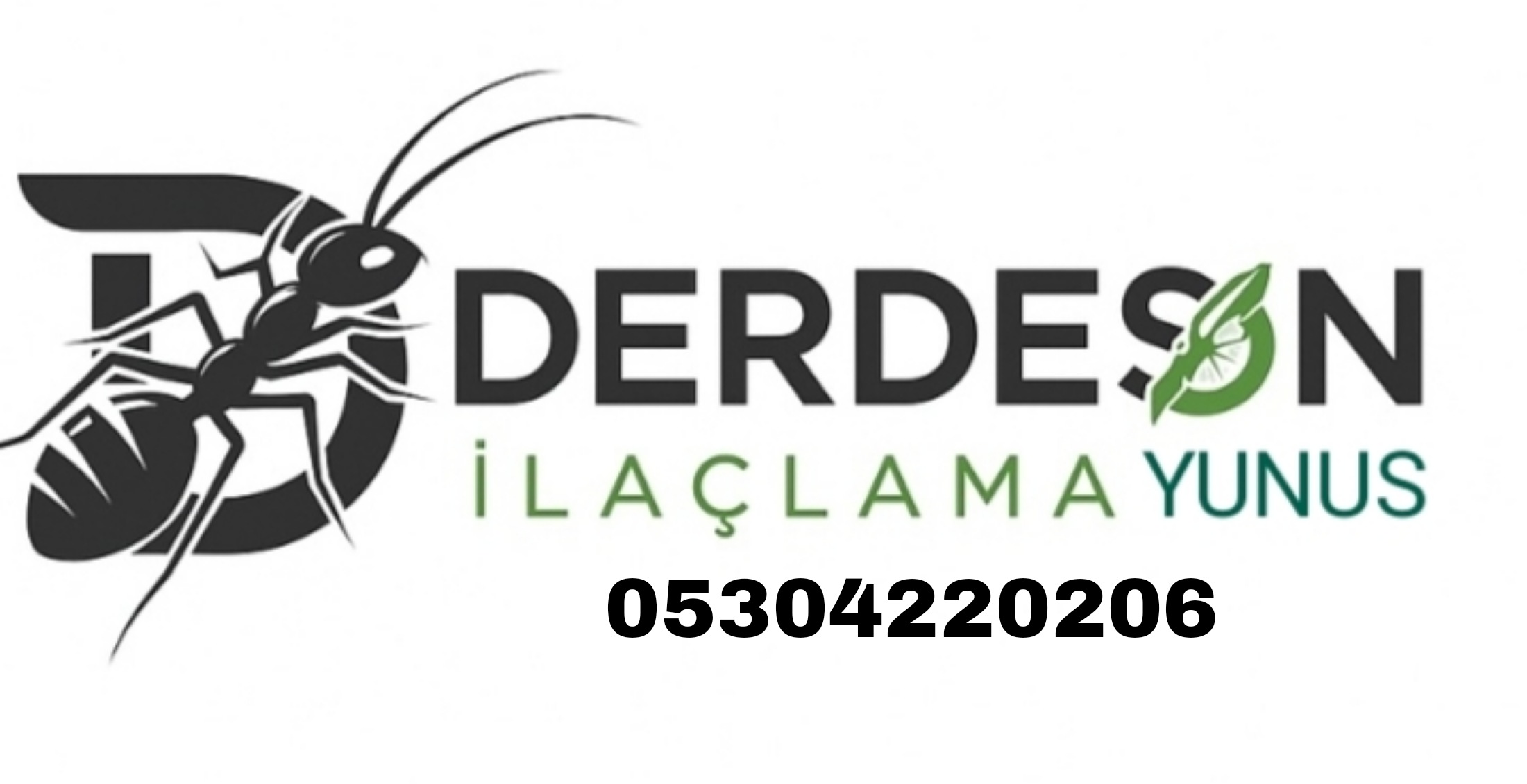 İZMİR DERDESON İLAÇLAMA 05304220206
